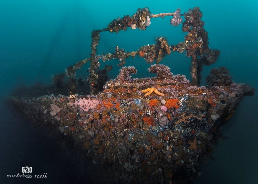 MV Aster Fishing Trawler Shipwreck
